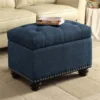 Highboy 18.25 x 19 x 24.75 in. Designs-4-Comfort 5th Avenue Storage Ottoman; Blue