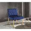 Chic Home FAC2810-US Tatiana Velvet Accent Chair Brass Finished Polished Metal Frame; Navy