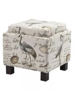 Madison Park FPF18-0046 Shelley Square Storage Ottoman With Pillows - Ivory