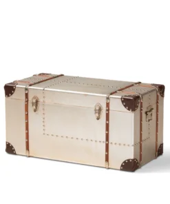 Baxton Studio Bechet Silver Metal Storage Trunk
